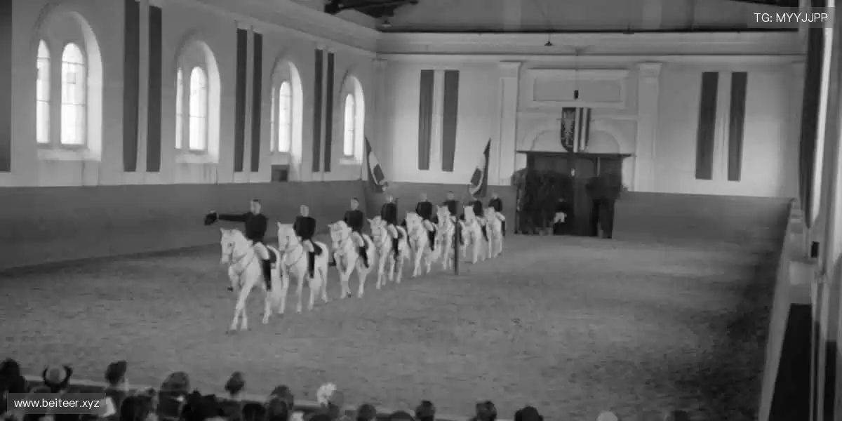 🏀 巅峰对决，不容错过！🏅